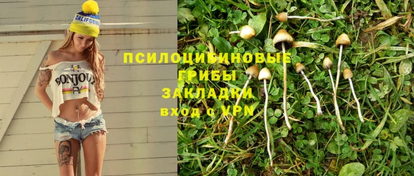 крисы Нягань