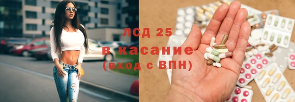 ГАЛЛЮЦИНОГЕННЫЕ ГРИБЫ Няндома