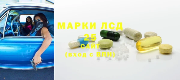 ГАЛЛЮЦИНОГЕННЫЕ ГРИБЫ Няндома