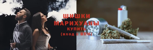 ГАЛЛЮЦИНОГЕННЫЕ ГРИБЫ Няндома