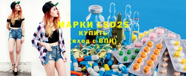 ГАЛЛЮЦИНОГЕННЫЕ ГРИБЫ Няндома
