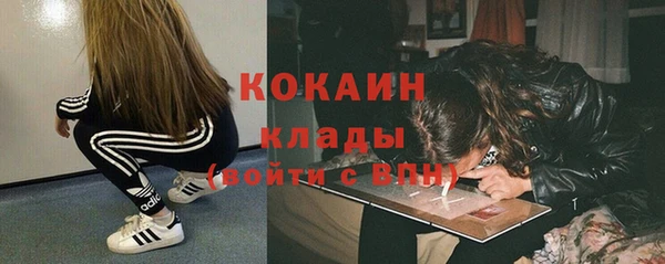 ГАЛЛЮЦИНОГЕННЫЕ ГРИБЫ Няндома